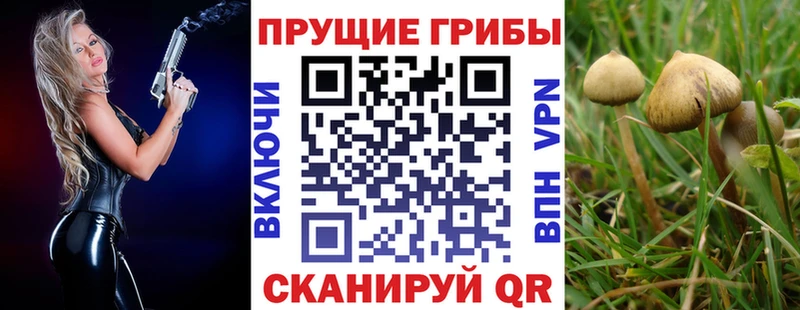 Галлюциногенные грибы мицелий купить закладку Нижняя Салда